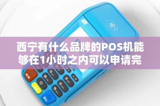 西宁有什么品牌的POS机能够在1小时之内可以申请完成？