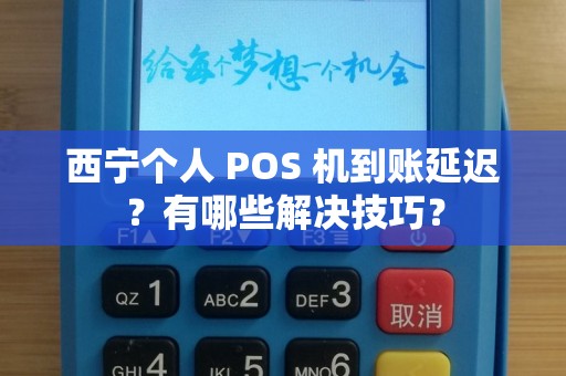 西宁个人 POS 机到账延迟？有哪些解决技巧？