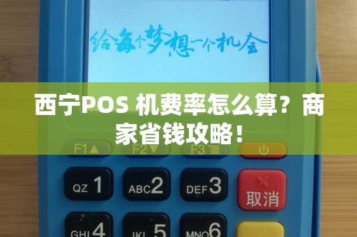 西宁POS 机费率怎么算？商家省钱攻略！