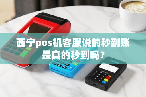 西宁pos机客服说的秒到账是真的秒到吗？