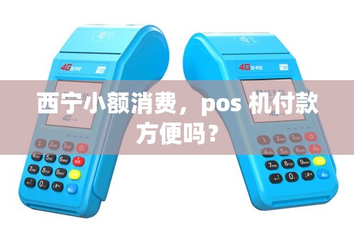 西宁小额消费，pos 机付款方便吗？