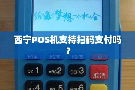 西宁POS机支持扫码支付吗？