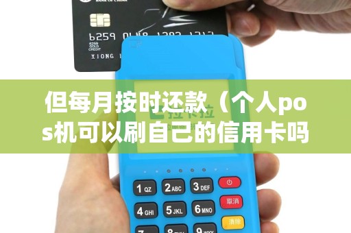 但每月按时还款（个人pos机可以刷自己的信用卡吗）