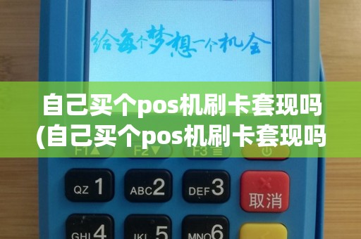 自己买个pos机刷卡套现吗(自己买个pos机刷卡套现吗可以吗)