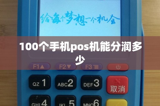 100个手机pos机能分润多少