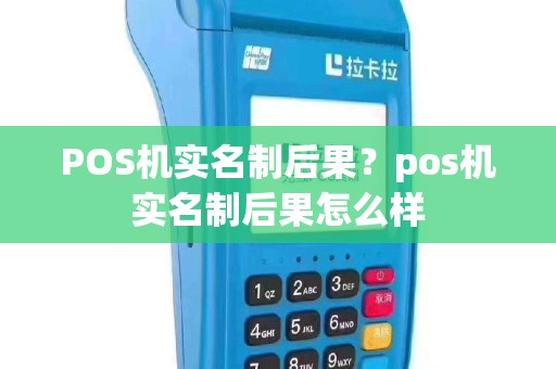 POS机实名制后果？pos机实名制后果怎么样