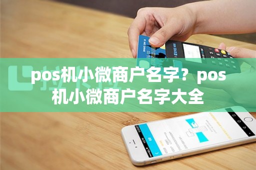 pos机小微商户名字？pos机小微商户名字大全