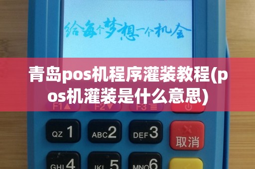 青岛pos机程序灌装教程(pos机灌装是什么意思)