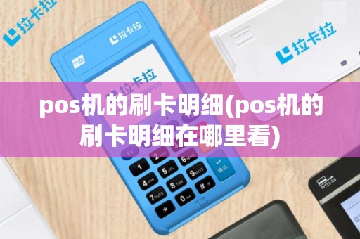 pos机的刷卡明细(pos机的刷卡明细在哪里看)
