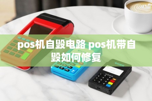 pos机自毁电路 pos机带自毁如何修复