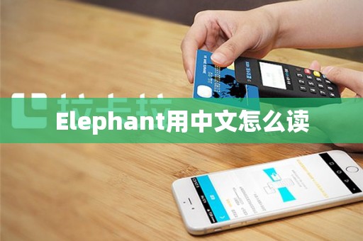 Elephant用中文怎么读