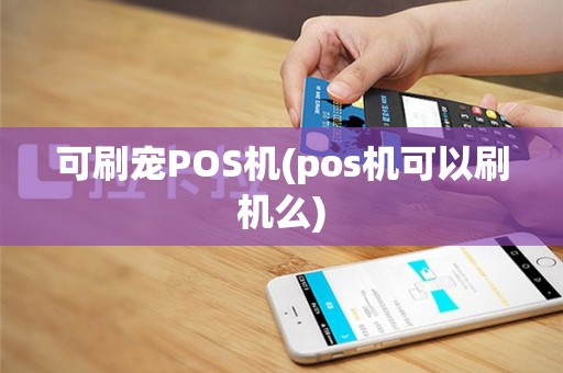 可刷宠POS机(pos机可以刷机么)