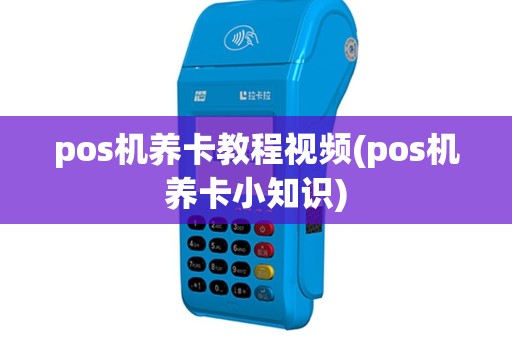 pos机养卡教程视频(pos机养卡小知识)