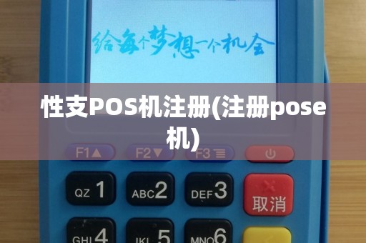 性支POS机注册(注册pose机)