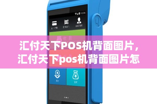 汇付天下POS机背面图片，汇付天下pos机背面图片怎么看