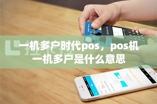 一机多户时代pos，pos机一机多户是什么意思