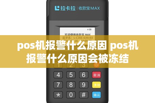 pos机报警什么原因 pos机报警什么原因会被冻结