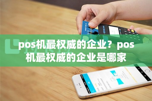 pos机最权威的企业？pos机最权威的企业是哪家