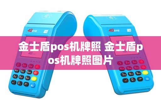 金士盾pos机牌照 金士盾pos机牌照图片