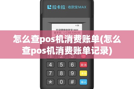 怎么查pos机消费账单(怎么查pos机消费账单记录)
