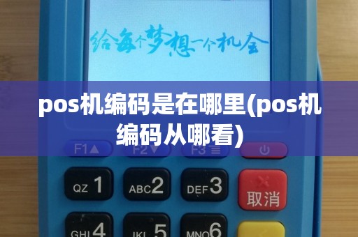 pos机编码是在哪里(pos机编码从哪看)