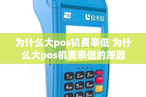 为什么大pos机费率低 为什么大pos机费率低的原因