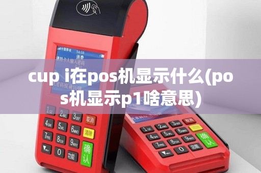 cup i在pos机显示什么(pos机显示p1啥意思)