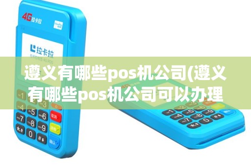 遵义有哪些pos机公司(遵义有哪些pos机公司可以办理)