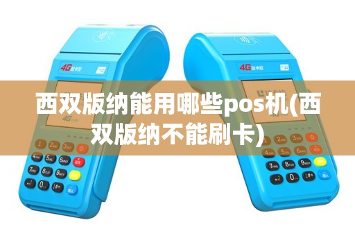 西双版纳能用哪些pos机(西双版纳不能刷卡)