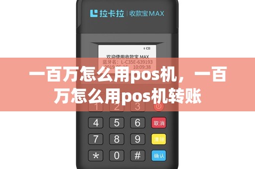 一百万怎么用pos机，一百万怎么用pos机转账