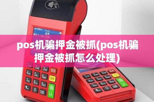 pos机骗押金被抓(pos机骗押金被抓怎么处理)
