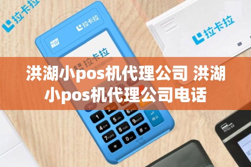 洪湖小pos机代理公司 洪湖小pos机代理公司电话