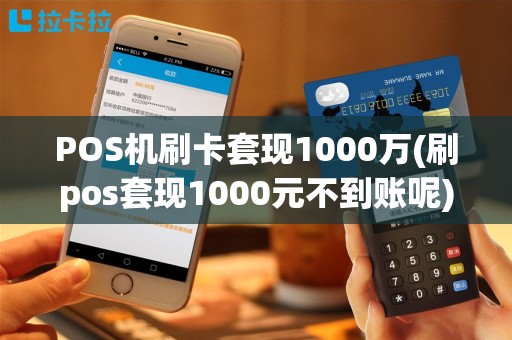 POS机刷卡套现1000万(刷pos套现1000元不到账呢)