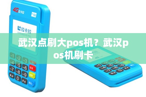 武汉点刷大pos机？武汉pos机刷卡