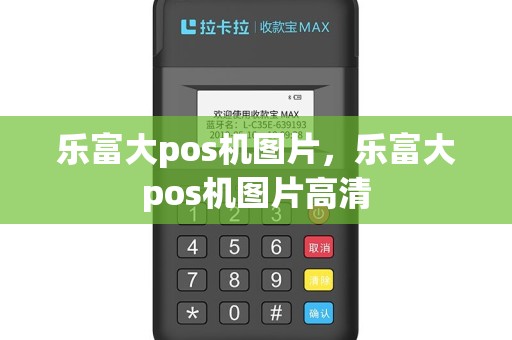 乐富大pos机图片，乐富大pos机图片高清