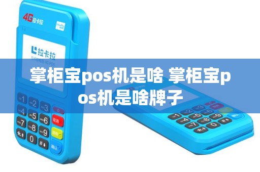掌柜宝pos机是啥 掌柜宝pos机是啥牌子