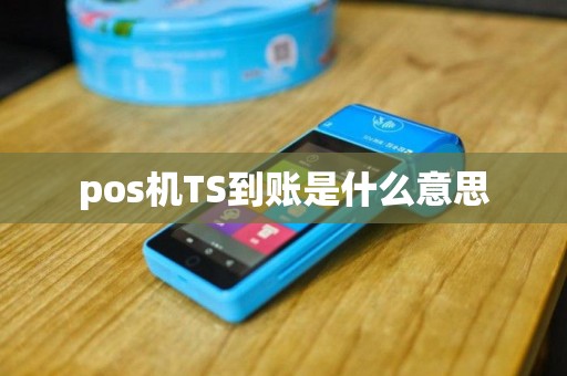 pos机TS到账是什么意思