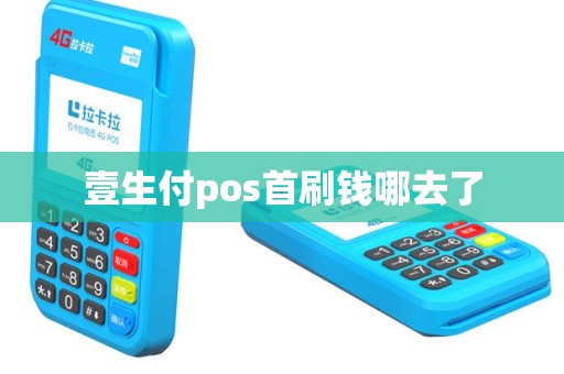 壹生付pos首刷钱哪去了