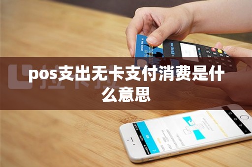 pos支出无卡支付消费是什么意思