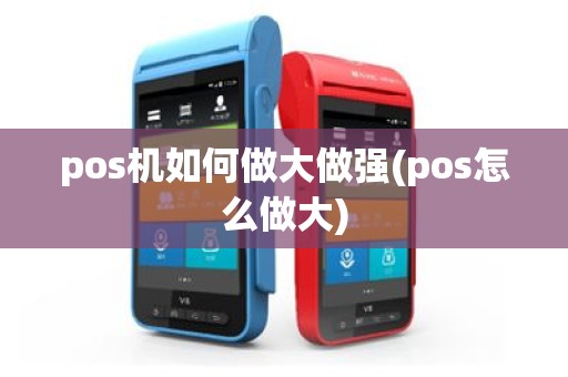 pos机如何做大做强(pos怎么做大)