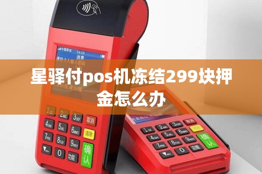 星驿付pos机冻结299块押金怎么办