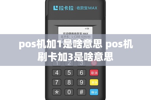 pos机加1是啥意思 pos机刷卡加3是啥意思