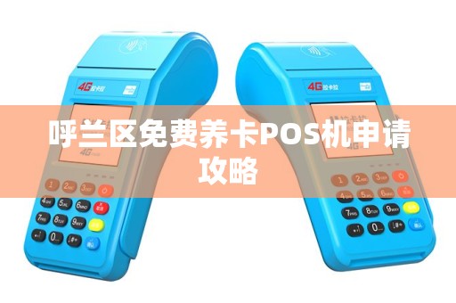 呼兰区免费养卡POS机申请攻略