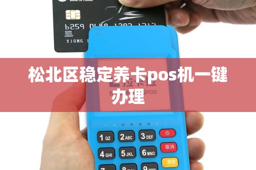 松北区稳定养卡pos机一键办理