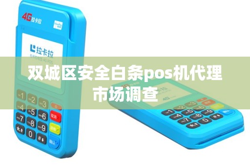 双城区安全白条pos机代理市场调查