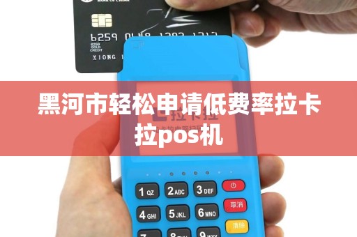 黑河市轻松申请低费率拉卡拉pos机