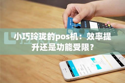 小巧玲珑的pos机：效率提升还是功能受限？