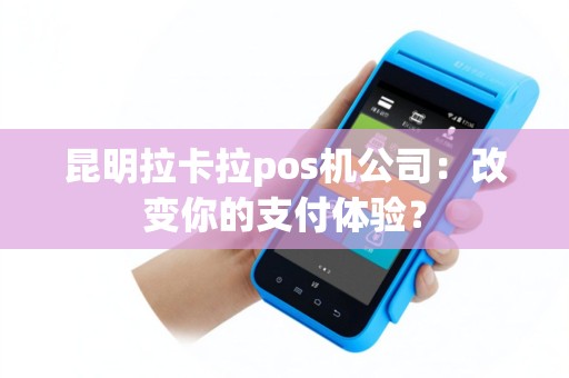 昆明拉卡拉pos机公司：改变你的支付体验？