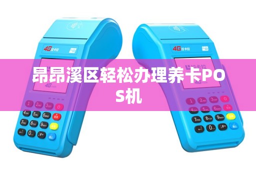 昂昂溪区轻松办理养卡POS机