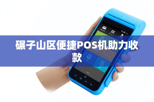 碾子山区便捷POS机助力收款